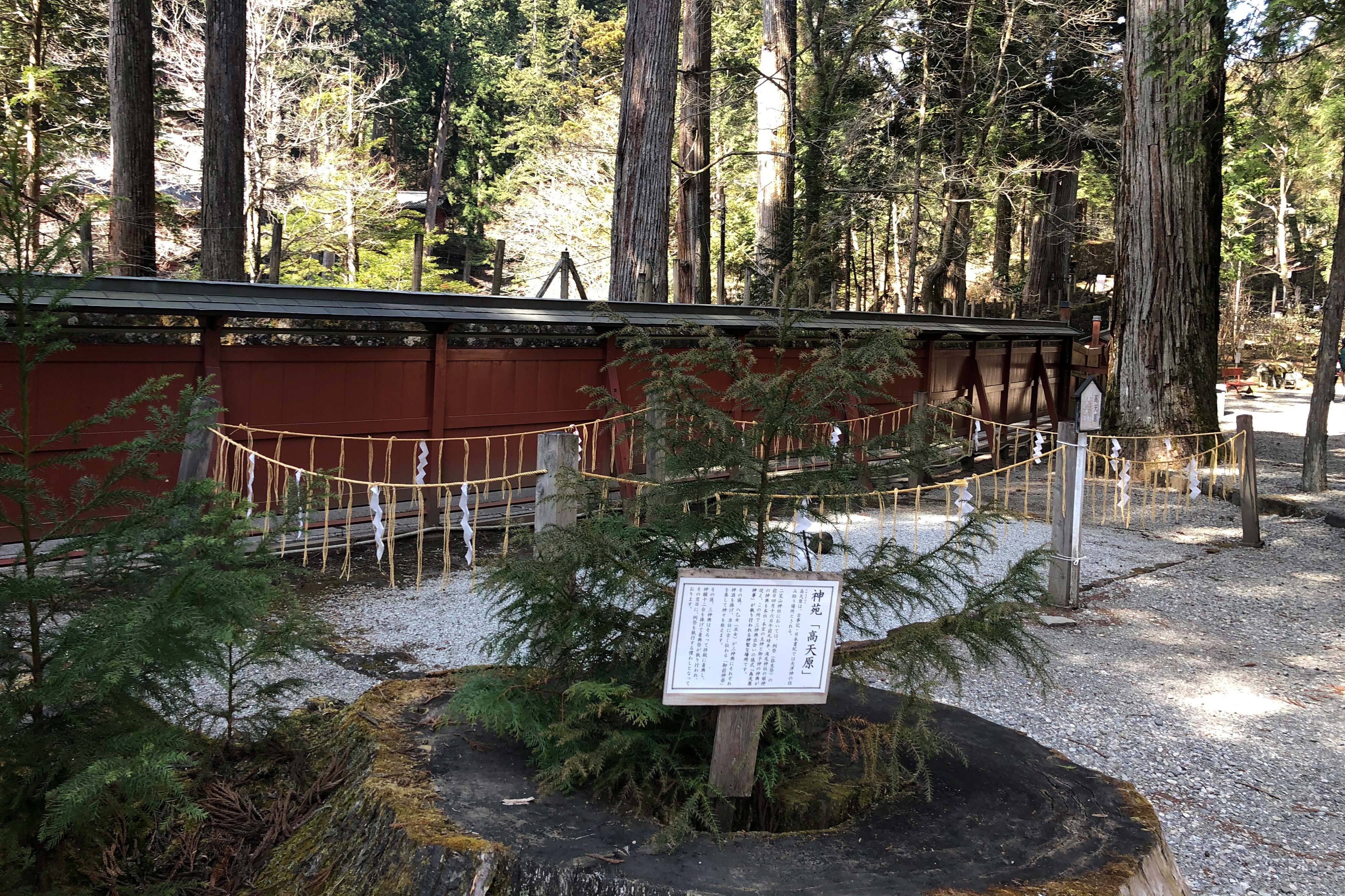 神社的花园内有几座历史上很重要的神社建筑，同时可以更仔细地参观参拜堂（拜殿）和主殿（本殿）。花园内还设有一个被认为是青春之泉的泉源和一个小休息区，为客人供应抹茶和用泉水泡制的咖啡。