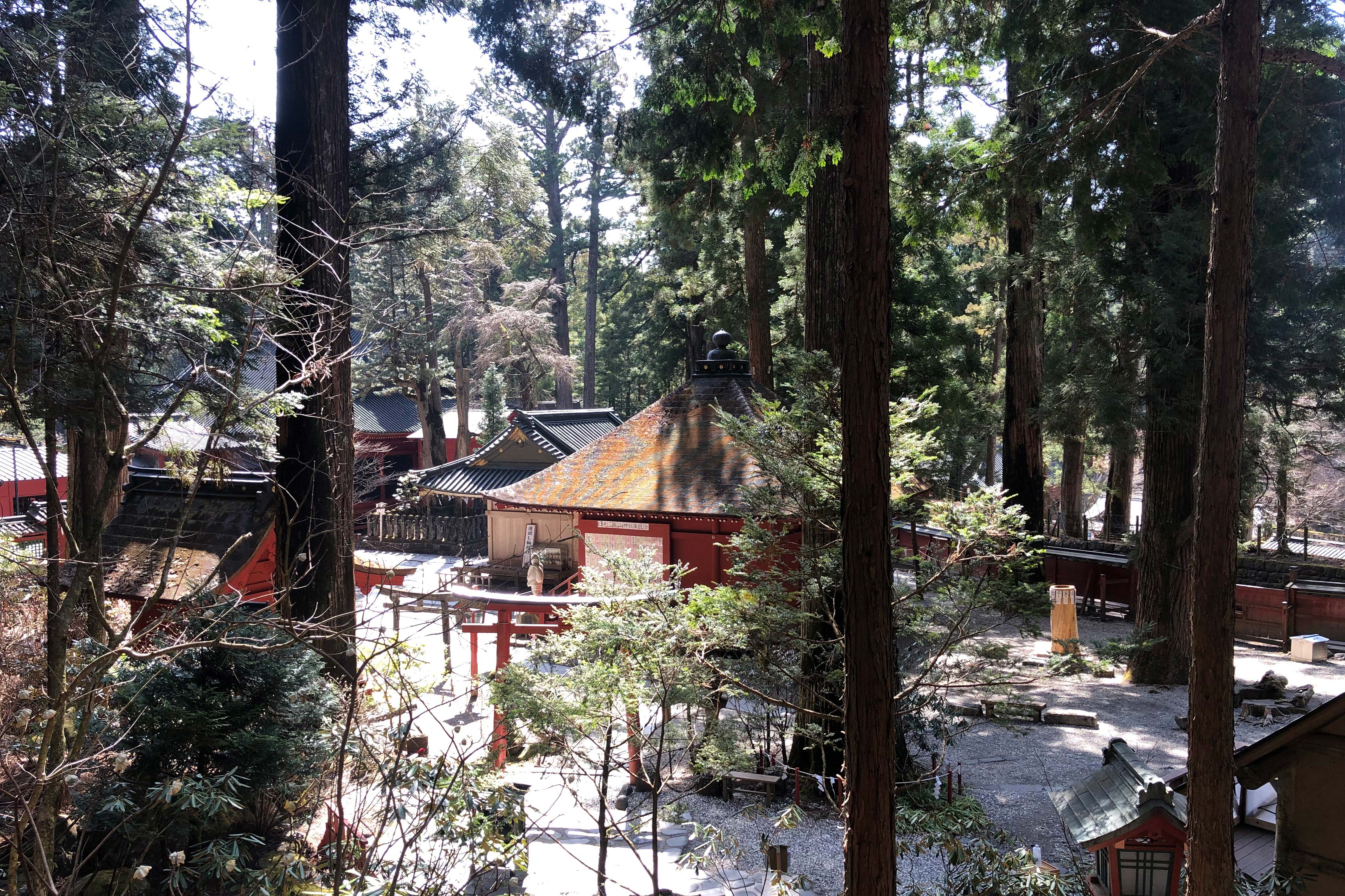 神社的花园内有几座历史上很重要的神社建筑，同时可以更仔细地参观参拜堂（拜殿）和主殿（本殿）。花园内还设有一个被认为是青春之泉的泉源和一个小休息区，为客人供应抹茶和用泉水泡制的咖啡。