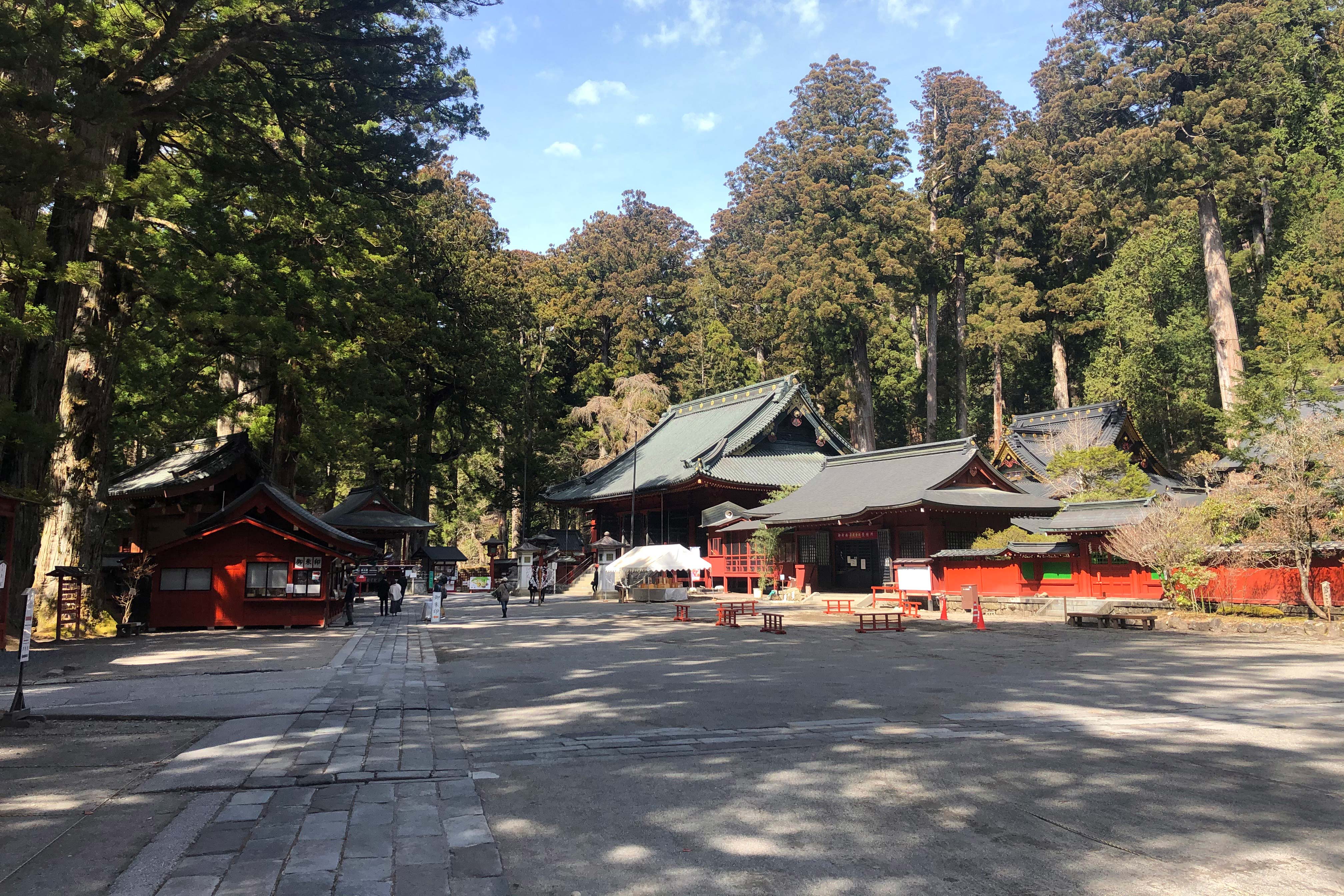 二荒山神社最初建造在男体山山顶， 由僧侣修验者胜道上人（735–817）于782年创设。原本男体山被称为二荒山，「二荒」的另一种日语读音近似「日光」的读音，因此而得「日光」之名。二荒山神社在日光拥有3400公顷的土地，其中包括位于中禅寺湖畔的中宫祠、坐镇在男体山顶的奥宫，还有华严瀑布、伊吕波山道与日光国家公园的山脉。<br />二荒山神社的主要建筑位于东照宫的西侧，周围环绕着许多神圣的树木。 据说有一棵吉祥树可为寻找婚姻伴侣的人带来好运，有一对根部相连的树木可赋予幸福婚姻，另外三棵相连的树木被认为可赋予幸福的家庭生活。 神社的花园里有几座历史上很重要的神社建筑，还可仔细参观两座始建于1619年的拜殿和正殿。在神社花园里有一处泉源，据说是青春之泉，还有一间小茶馆。<br />1999年，二荒山神社、东照宫和轮王寺作为“日光的神社和神庙”被指定为联合国教科文组织世界遗产。光是二荒山神社就包含了23个重要文化遗产。