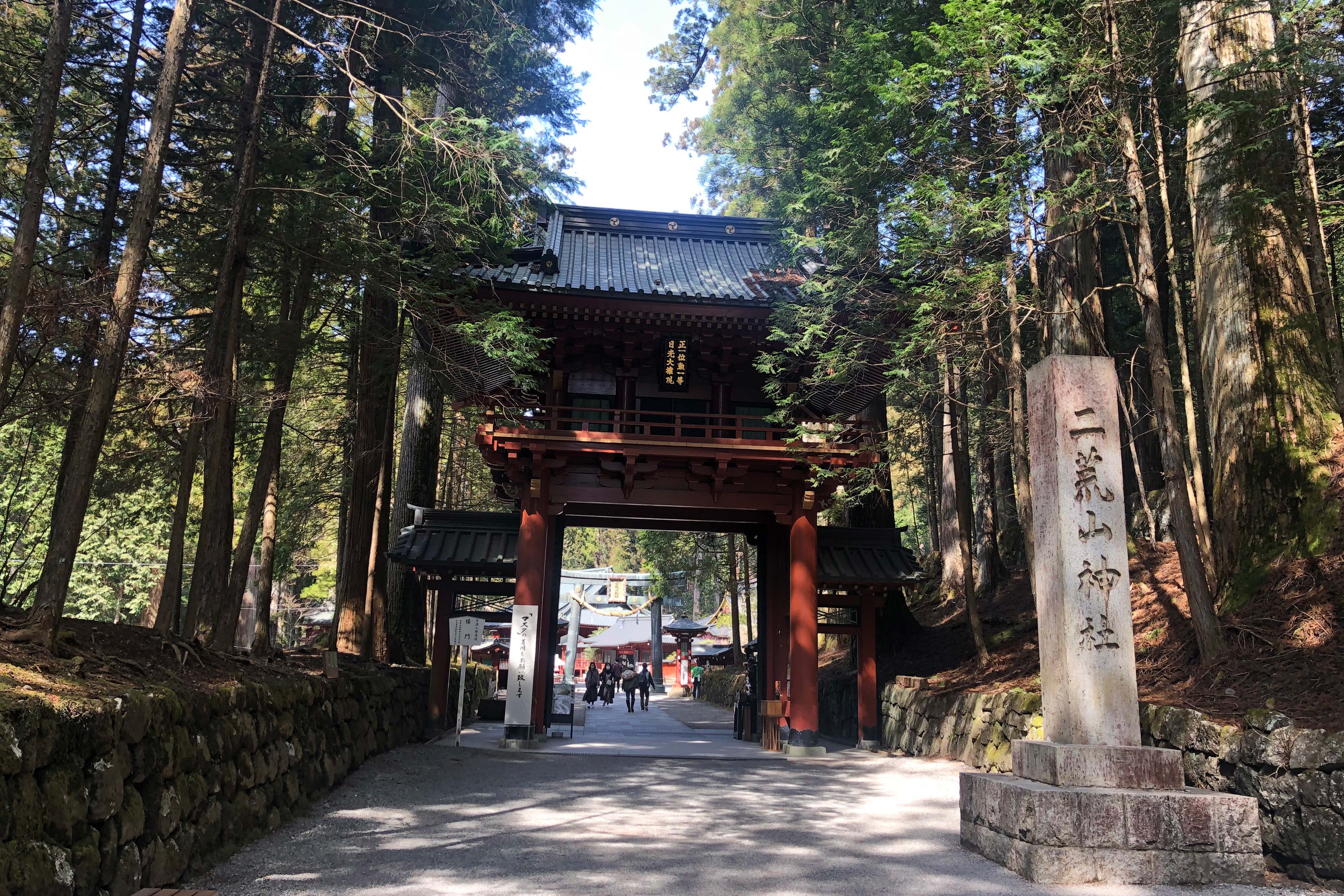 二荒山神社最初建造在男体山山顶， 由僧侣修验者胜道上人（735–817）于782年创设。原本男体山被称为二荒山，「二荒」的另一种日语读音近似「日光」的读音，因此而得「日光」之名。二荒山神社在日光拥有3400公顷的土地，其中包括位于中禅寺湖畔的中宫祠、坐镇在男体山顶的奥宫，还有华严瀑布、伊吕波山道与日光国家公园的山脉。<br />二荒山神社的主要建筑位于东照宫的西侧，周围环绕着许多神圣的树木。 据说有一棵吉祥树可为寻找婚姻伴侣的人带来好运，有一对根部相连的树木可赋予幸福婚姻，另外三棵相连的树木被认为可赋予幸福的家庭生活。 神社的花园里有几座历史上很重要的神社建筑，还可仔细参观两座始建于1619年的拜殿和正殿。在神社花园里有一处泉源，据说是青春之泉，还有一间小茶馆。<br />1999年，二荒山神社、东照宫和轮王寺作为“日光的神社和神庙”被指定为联合国教科文组织世界遗产。光是二荒山神社就包含了23个重要文化遗产。