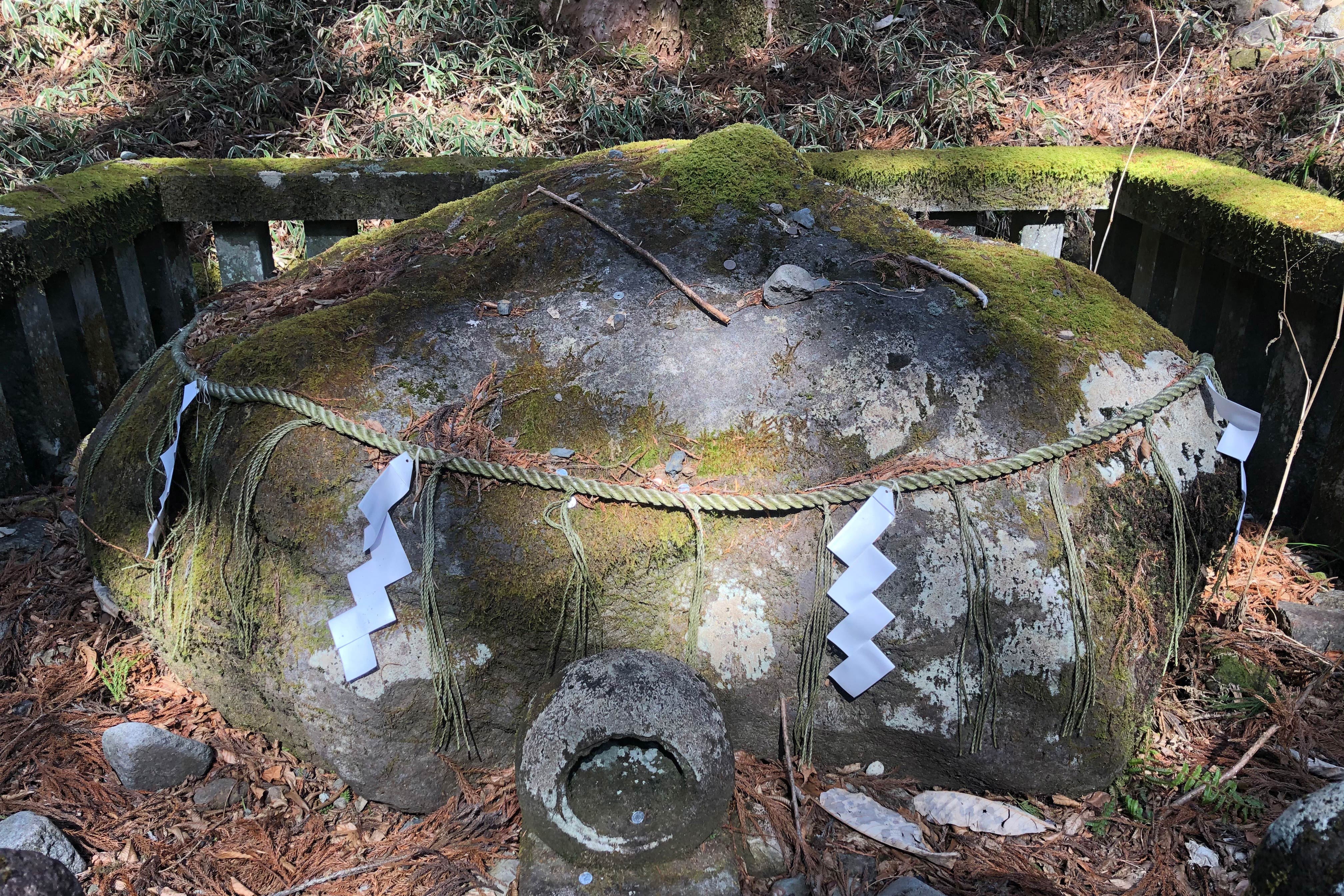 从古代开始，据说由传言，只要参拜这块石头，就可保佑早得贵子、平安产子。因此，到现在慕名而来的参拜者依然络绎不绝。<br /><br />参拜时，先在石头的前面祈愿，然后顺时针绕行石头。众多参拜者都前来祈求平安产子，或留下小石头以感谢神灵倾听他们的祈愿。因此，在子种石周围也就出现了小石头山。<br /><br />这块石头在日语中被称为子种石，又叫做子种权现。权现指的是菩萨在神道中的化身，这也体现了在持续至明治时代（1868年-1912年）前的神佛习合表现。