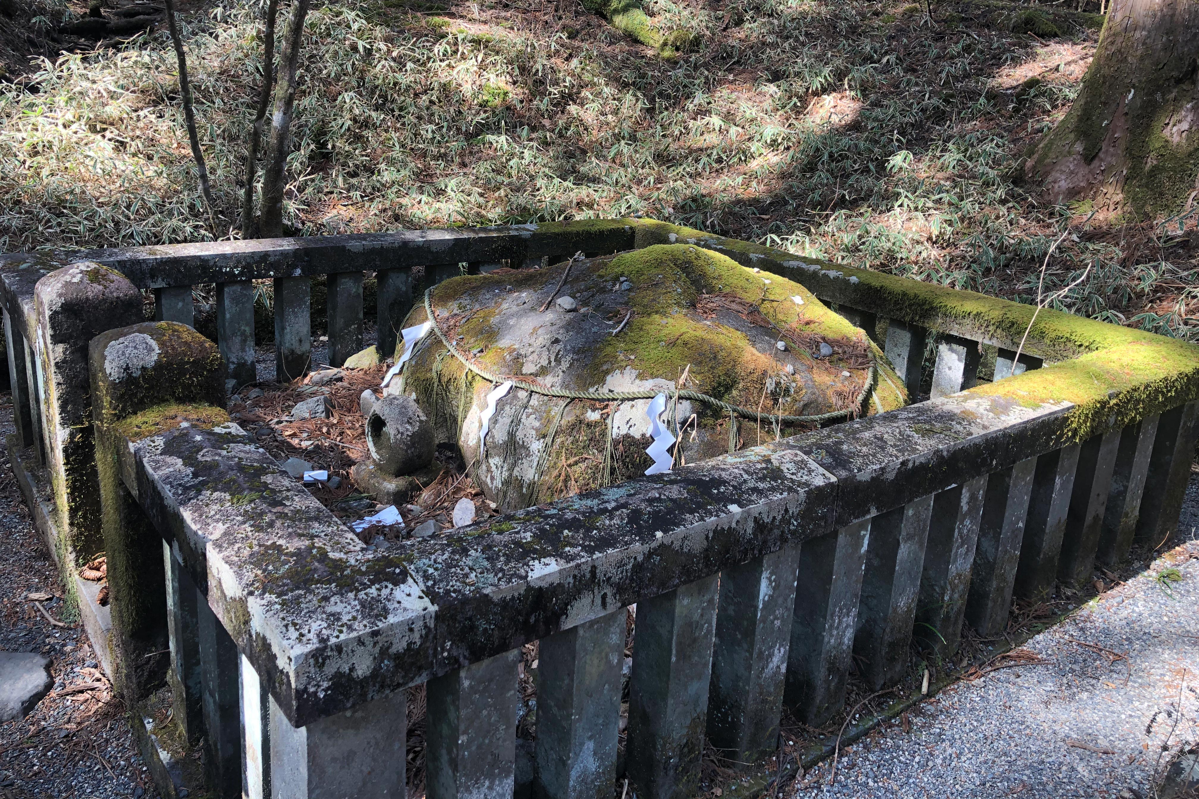 从古代开始，据说由传言，只要参拜这块石头，就可保佑早得贵子、平安产子。因此，到现在慕名而来的参拜者依然络绎不绝。<br /><br />参拜时，先在石头的前面祈愿，然后顺时针绕行石头。众多参拜者都前来祈求平安产子，或留下小石头以感谢神灵倾听他们的祈愿。因此，在子种石周围也就出现了小石头山。<br /><br />这块石头在日语中被称为子种石，又叫做子种权现。权现指的是菩萨在神道中的化身，这也体现了在持续至明治时代（1868年-1912年）前的神佛习合表现。