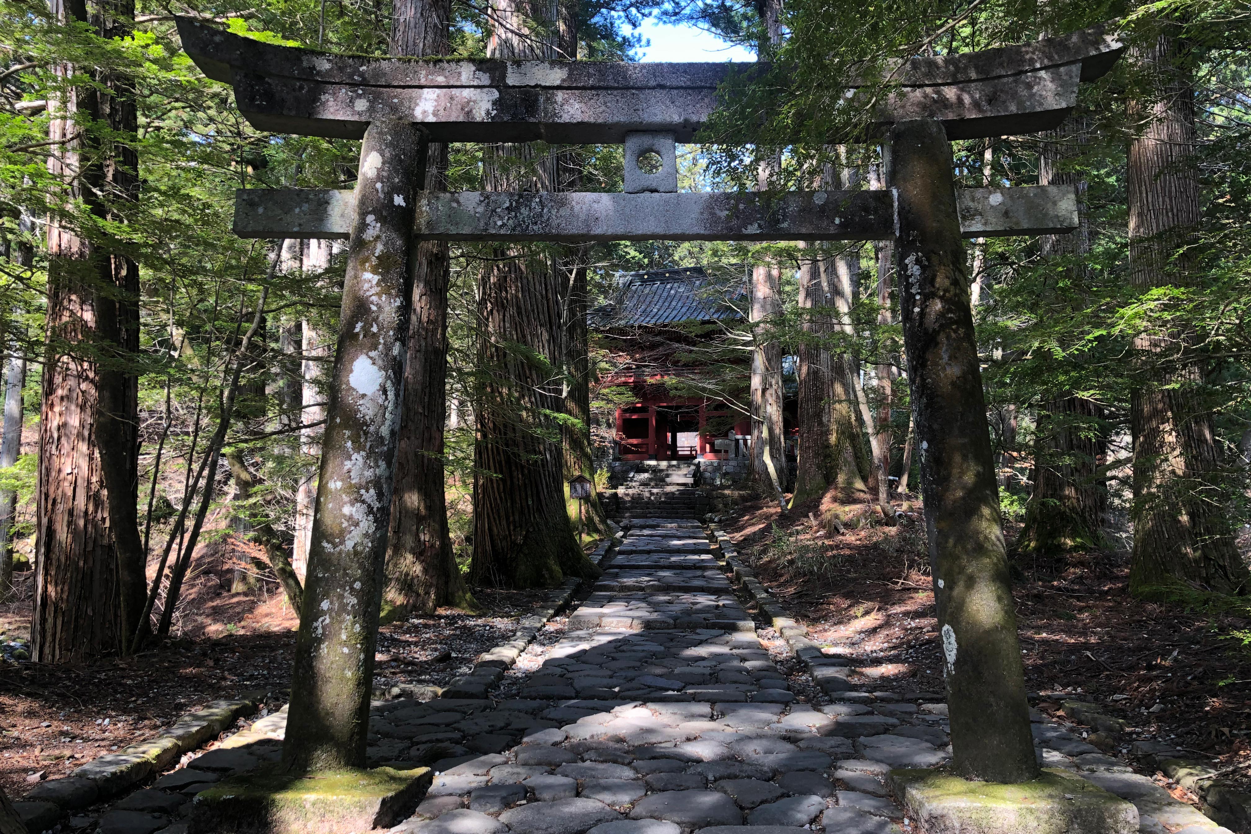 鸟居是作为圣域的入口而设立的神社的大门。因此，建在神社或其它神圣之地的入口处。试运鸟居和一般的鸟居的不同之处在于上部中间开了一个圆孔，据说如果向这个孔内扔3个小石头，只要进去一个就能如愿以偿。<br /><br />这个鸟居是德川幕府第三代将军——徳川家光(1604年-1651年)的家臣——梶定良（1612年-1698年）于1689年捐奉的。德川家光和日光有着深厚的关系，他曾下令重建日光东照宫，同时也被供奉在轮王寺大猷院内。<br /><br />德川家光死后，他的家臣梶定良在大猷院内看守德川家的宗庙，他的坟茔也留在了日光。