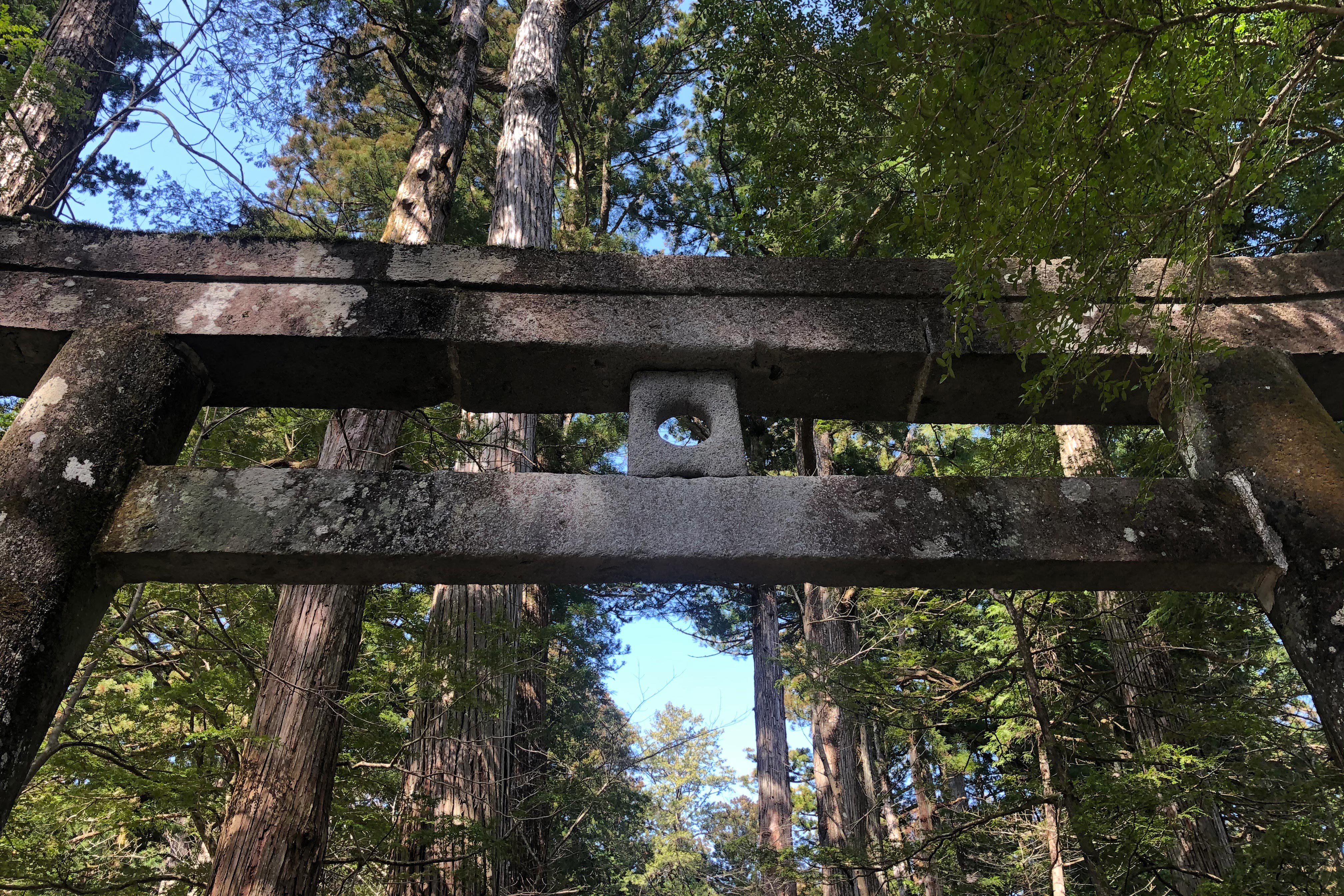 鸟居是作为圣域的入口而设立的神社的大门。因此，建在神社或其它神圣之地的入口处。试运鸟居和一般的鸟居的不同之处在于上部中间开了一个圆孔，据说如果向这个孔内扔3个小石头，只要进去一个就能如愿以偿。<br /><br />这个鸟居是德川幕府第三代将军——徳川家光(1604年-1651年)的家臣——梶定良（1612年-1698年）于1689年捐奉的。德川家光和日光有着深厚的关系，他曾下令重建日光东照宫，同时也被供奉在轮王寺大猷院内。<br /><br />德川家光死后，他的家臣梶定良在大猷院内看守德川家的宗庙，他的坟茔也留在了日光。