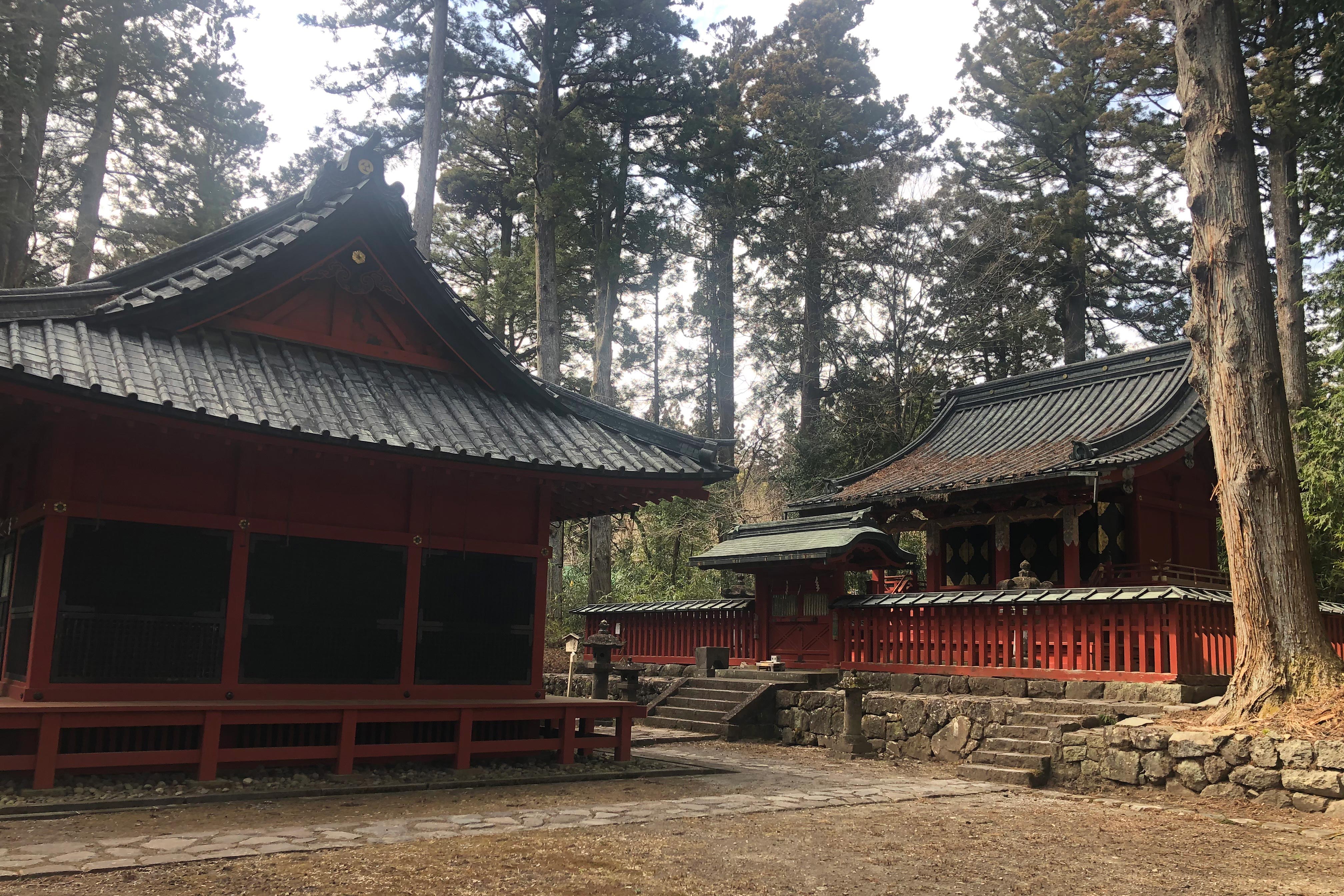 据说建立于奈良时代（710年-794年），是日光最古老的神社之一。供奉的神明是味耜高彦根神，也是二荒山神社主供奉的大已贵神的御子神（儿子）。<br /><br />二荒山神社和轮王寺的开山鼻祖——胜道上人（735年-817年），于766年首先渡过大谷川进入日光，修建了这座小小的祠堂。因此，本宫神社也可以说是二荒山神社的发祥地。<br /><br />供参拜者祈祷的拜殿在前，供奉着味耜高彦根神的本殿在后。本殿的背面设有一扇门，过去曾从这里朝拜男体山。在山岳信仰中，“山”作为栖息着神明与先祖的魂灵的神圣之地而受到敬拜。